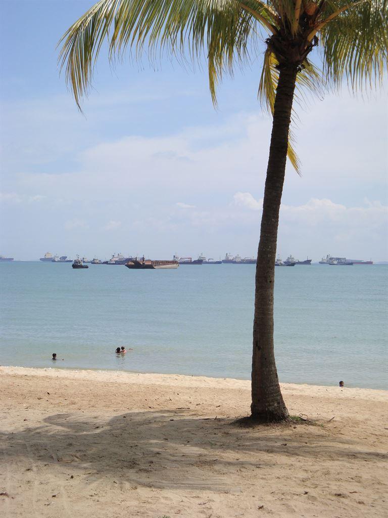 beach