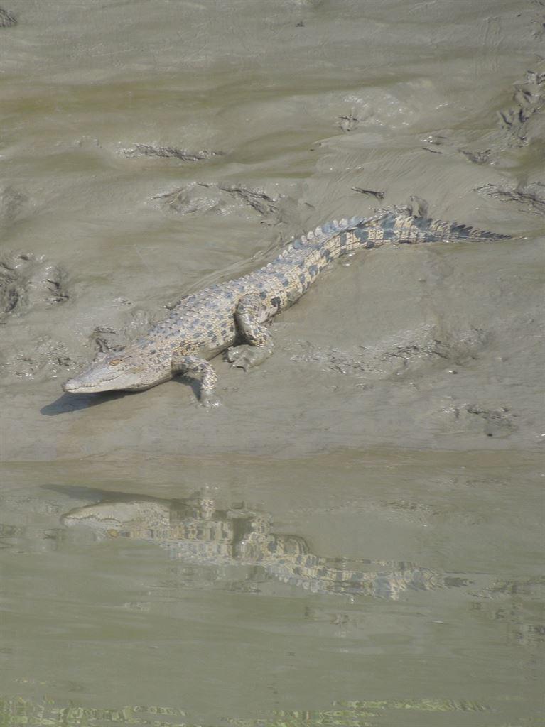 bangcroc