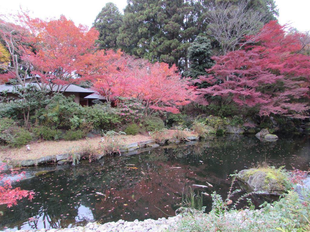 kyotoautumn