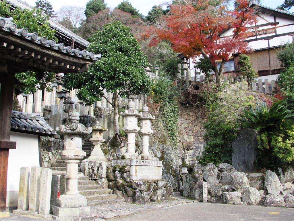 nara