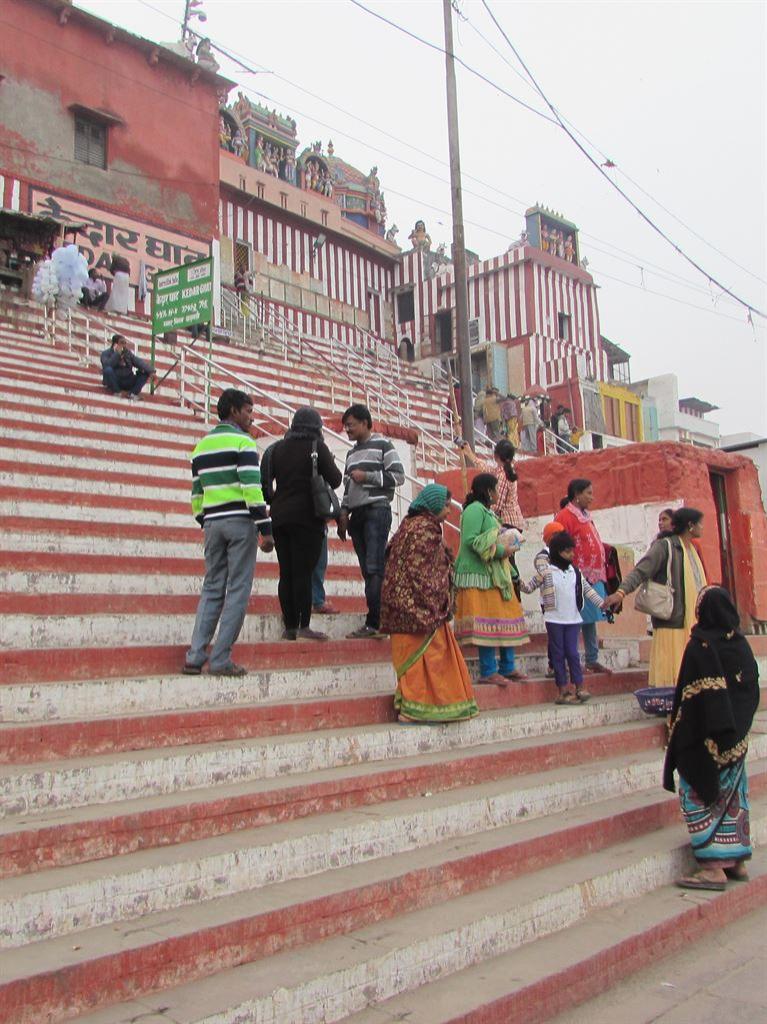 stripysteps