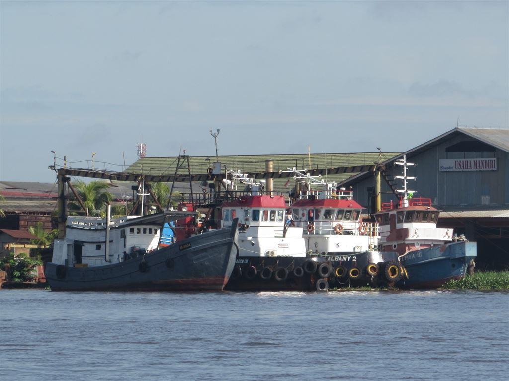 boats