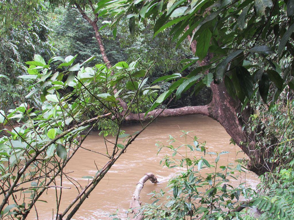 river