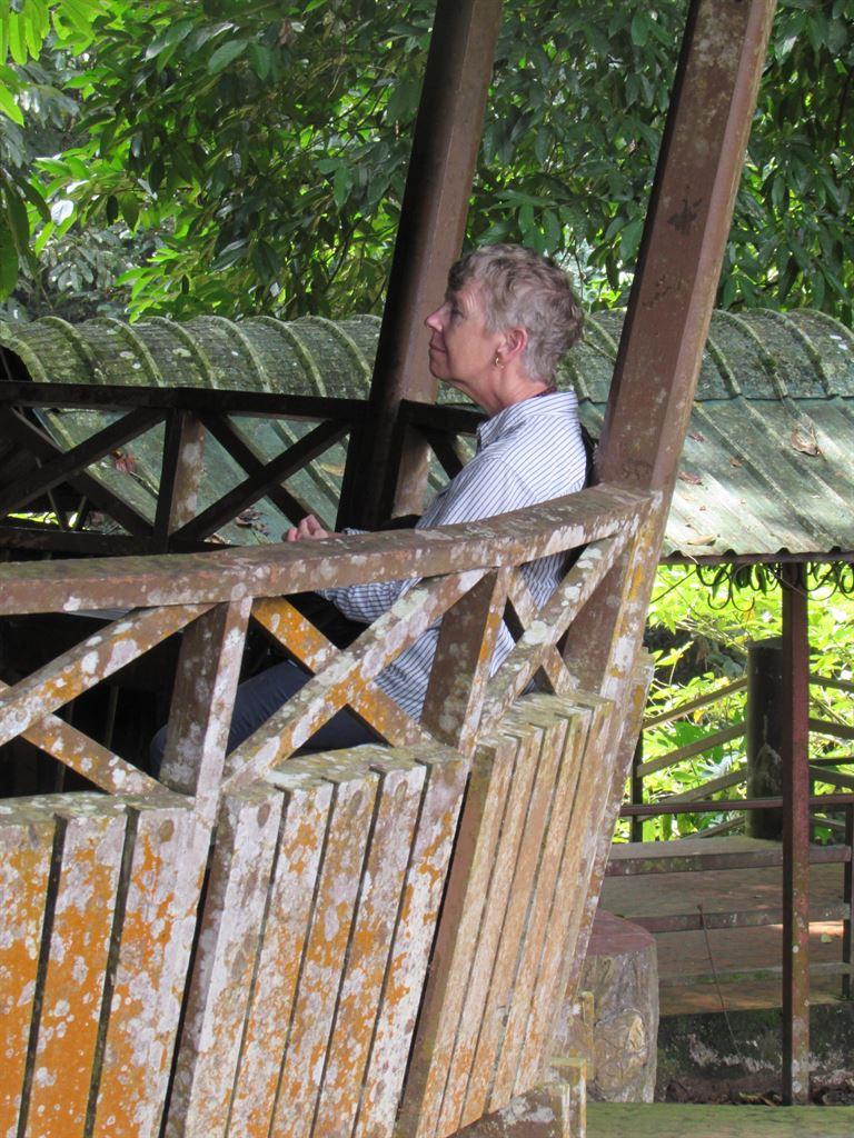 gazebo