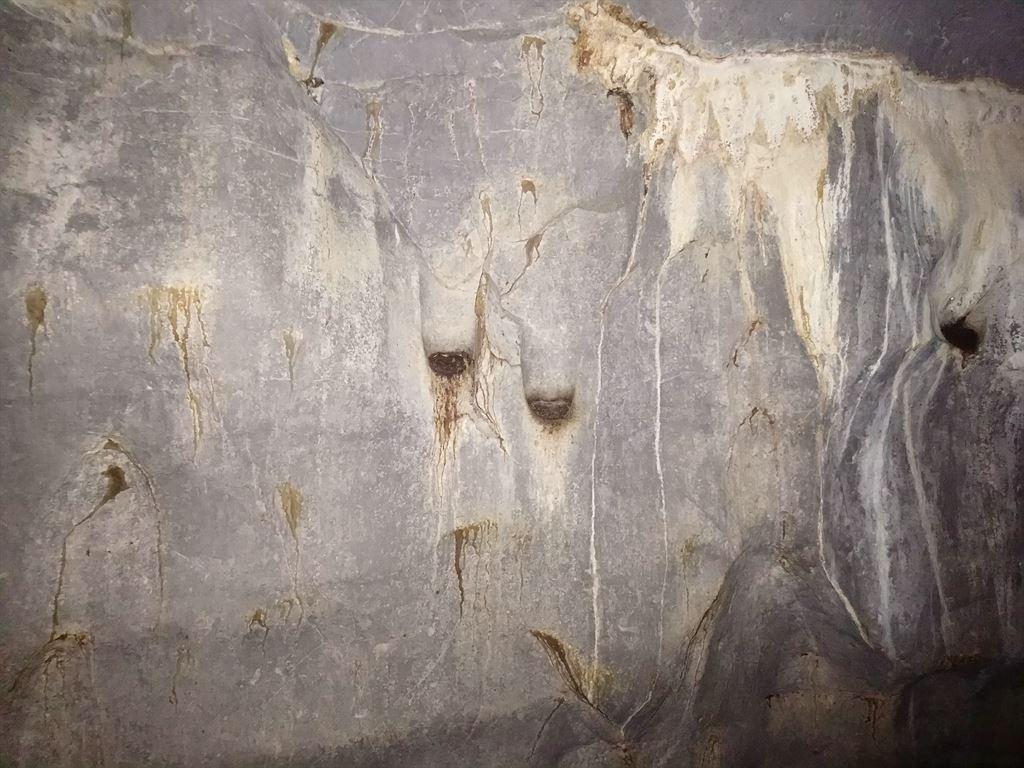 nests