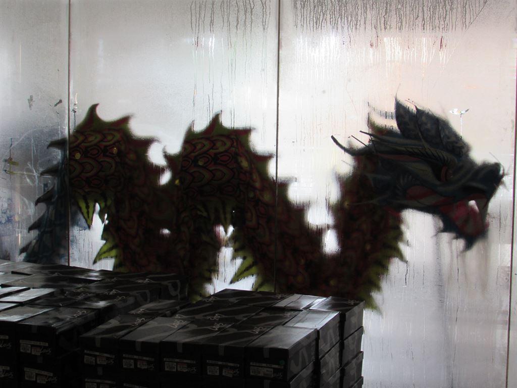 dragon2