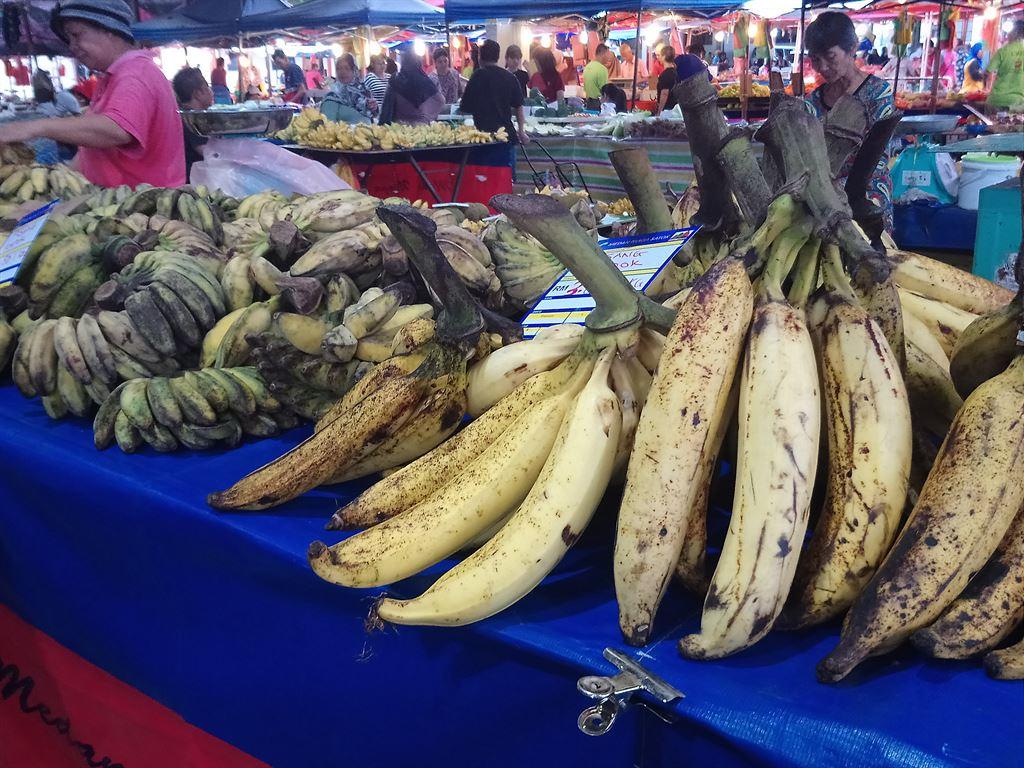 pisangtanduk