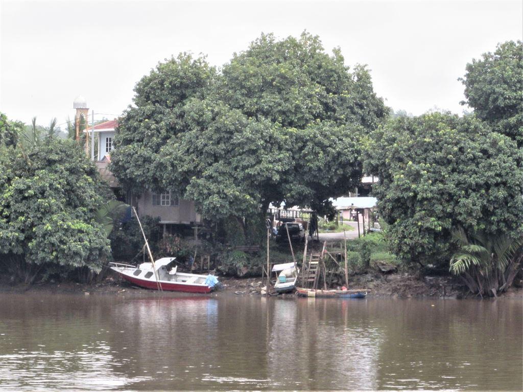 boats