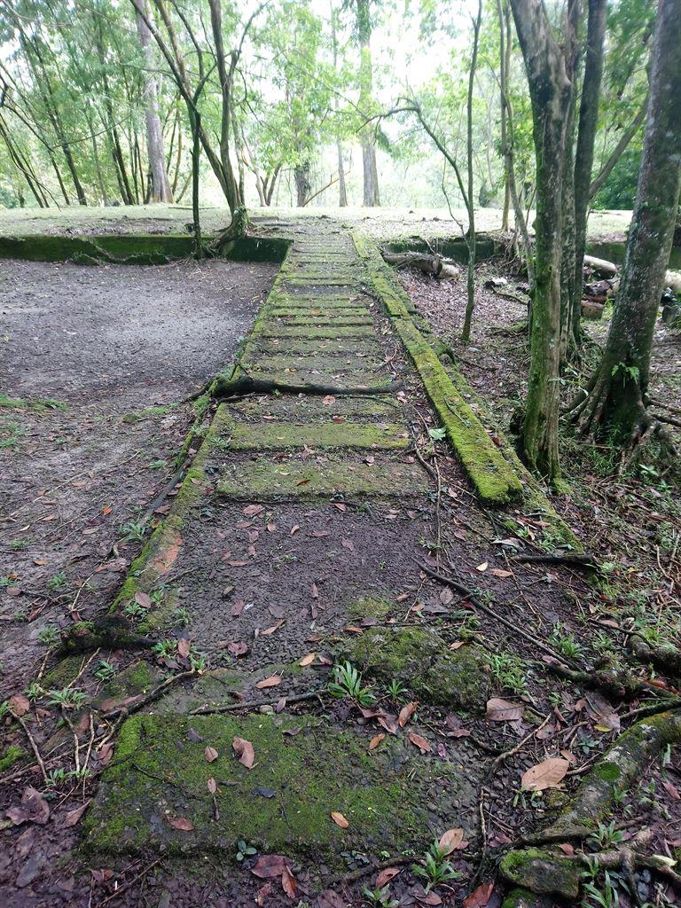 track