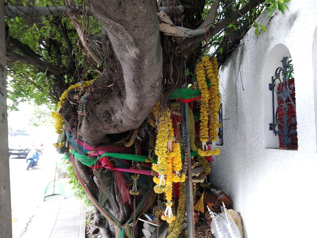 treeshrine