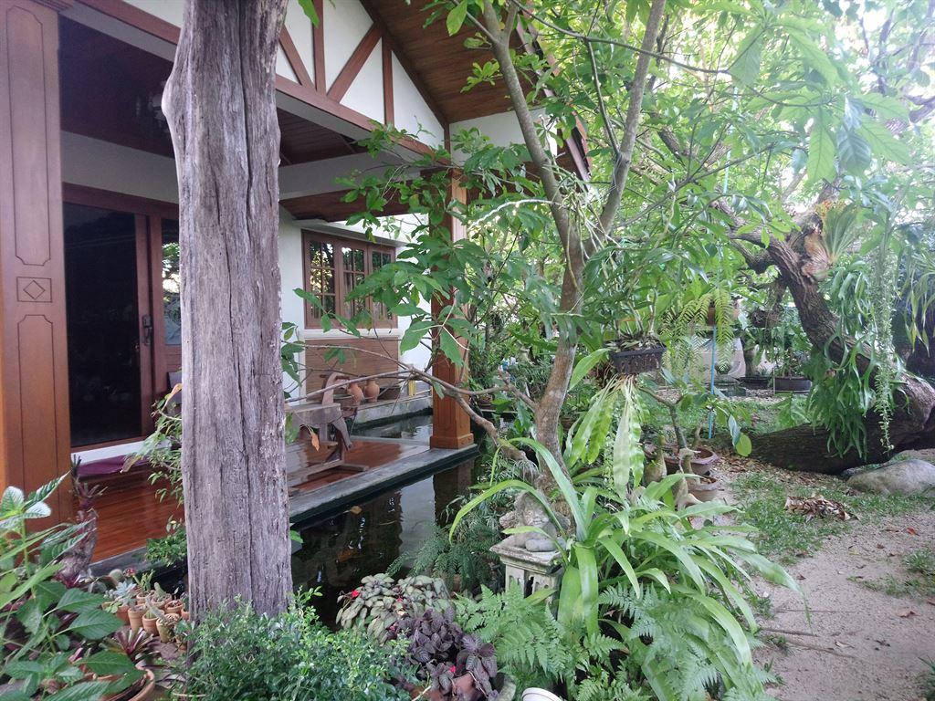 garden3