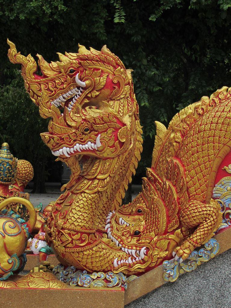 dragons