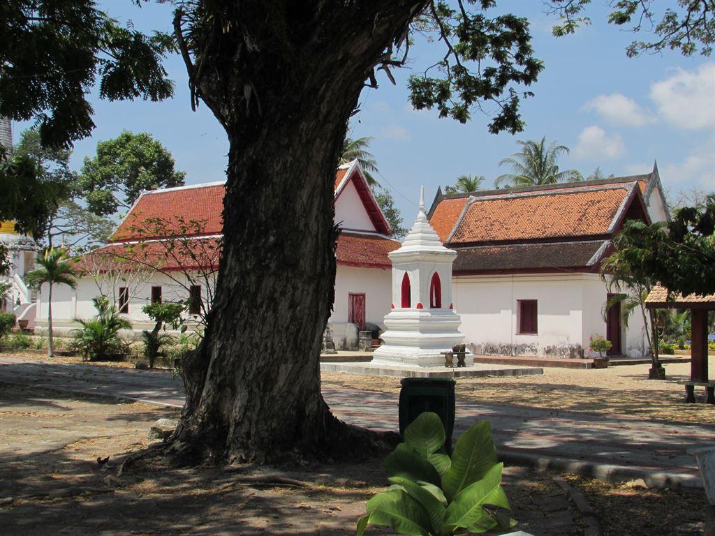 grounds