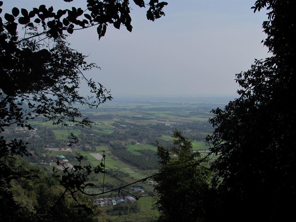view1