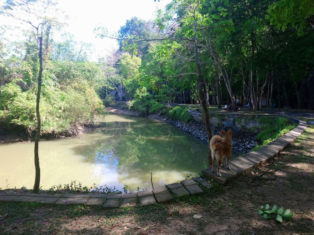 lake