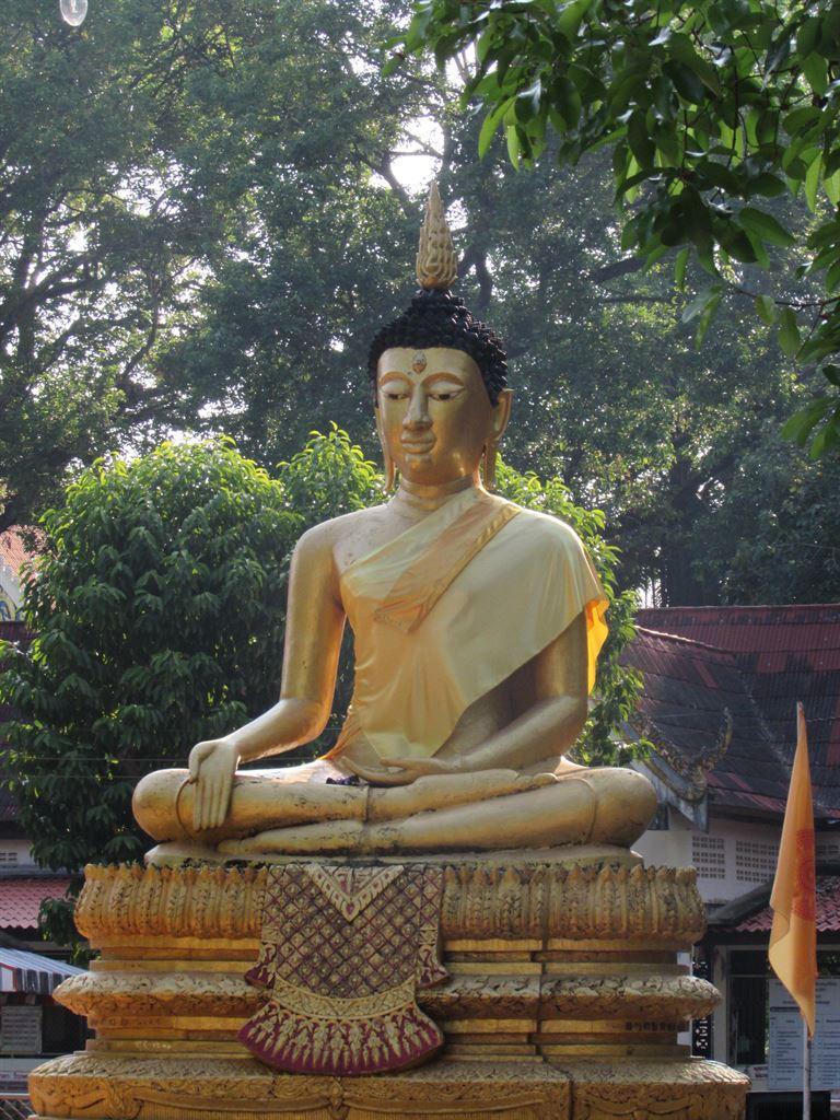 buddha