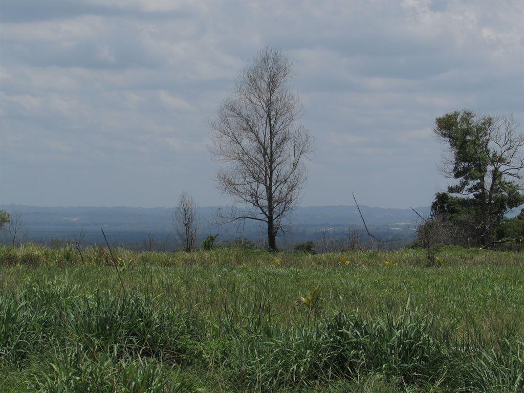 view2
