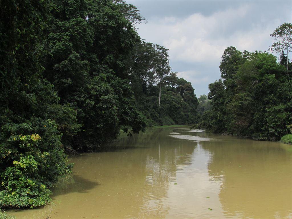 river