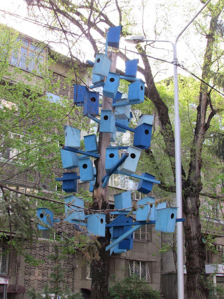 birdboxes