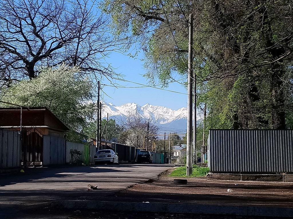 mountains