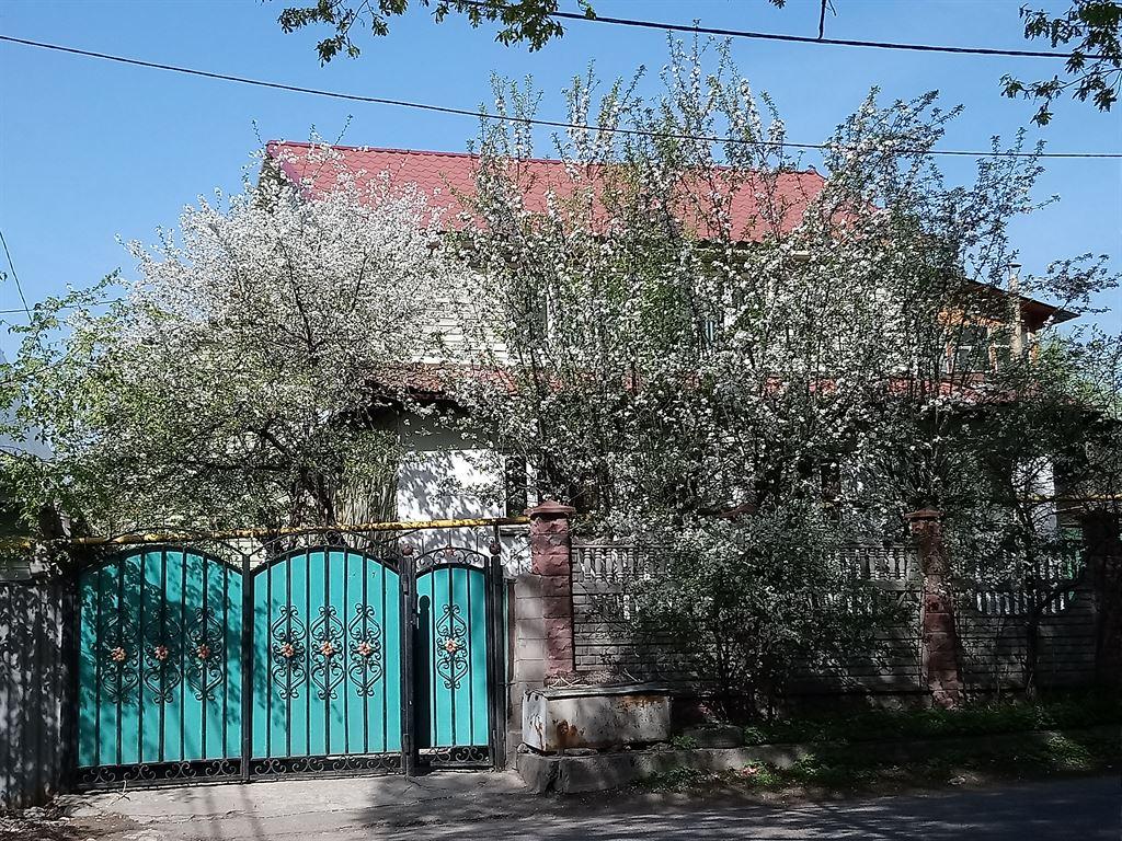 blossom