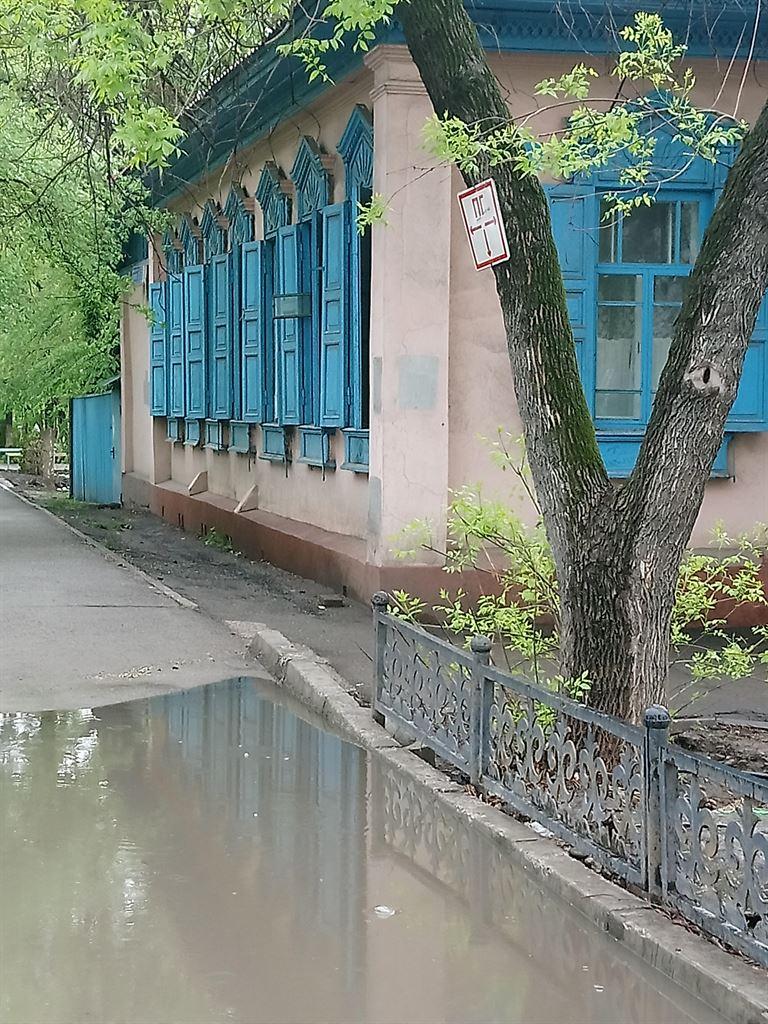 blueshutters