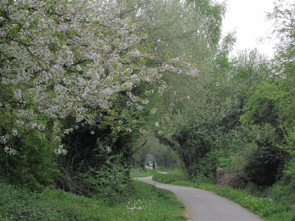 railway