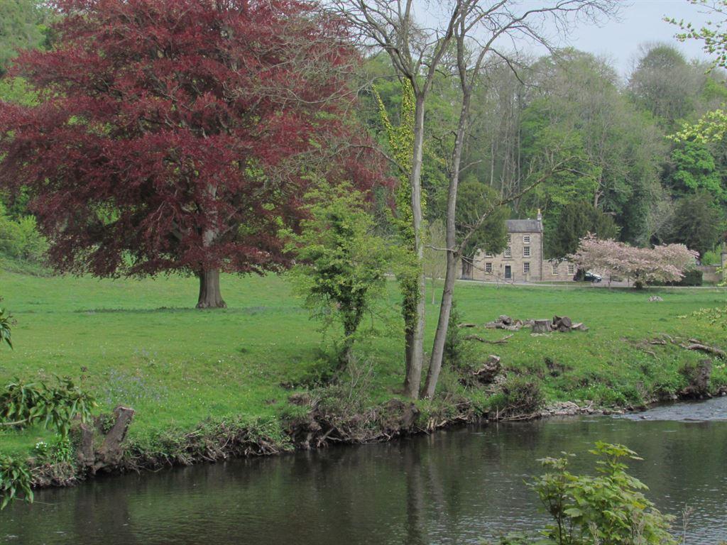 meadows