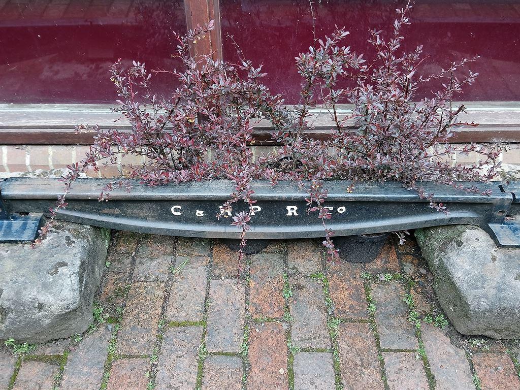fishbellyrails