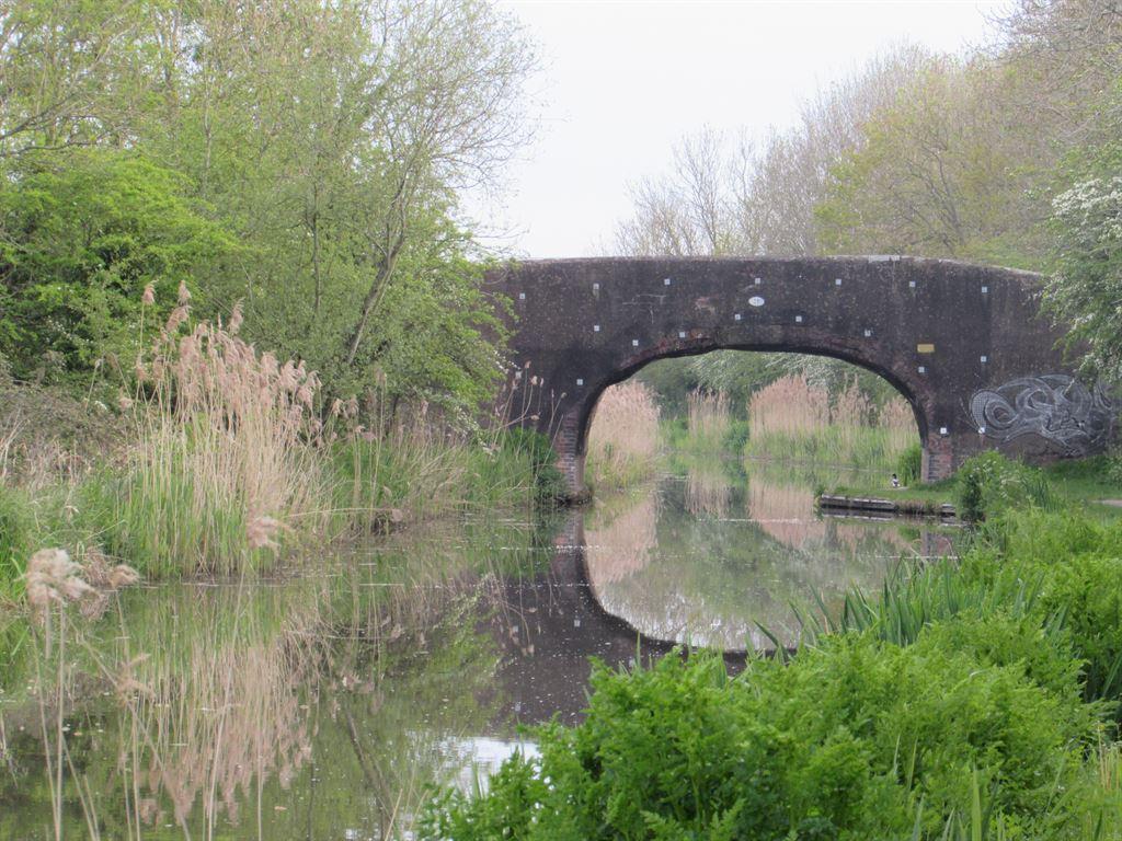 bridge1