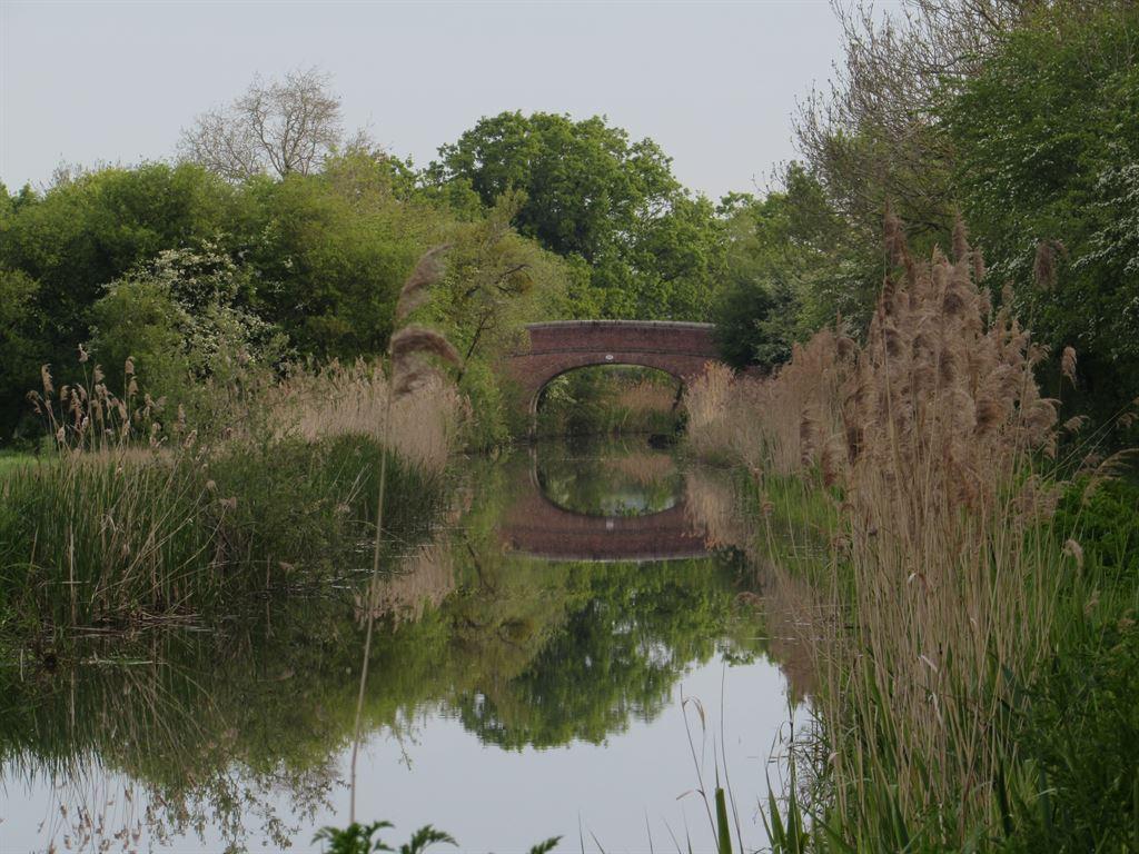 bridge2