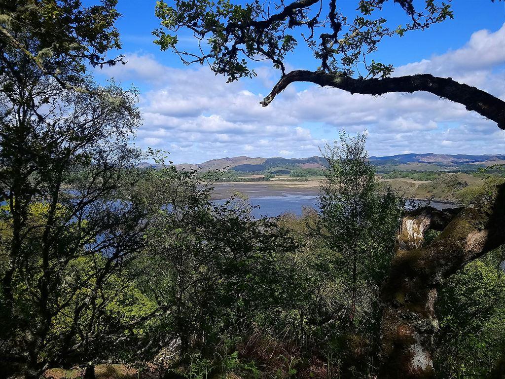 view