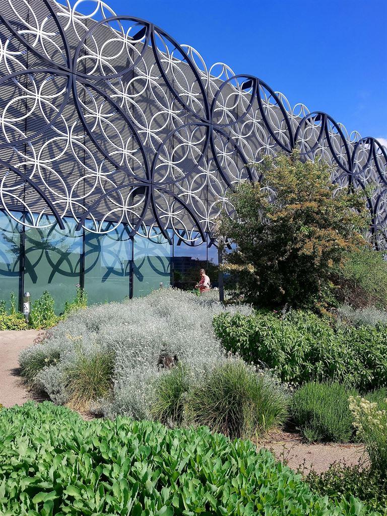 garden