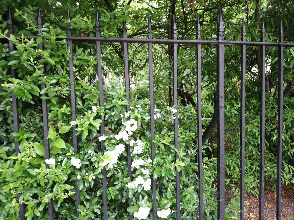 parkrailings