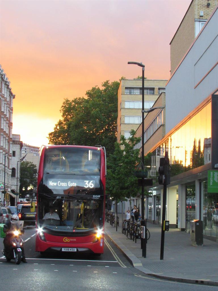 sunsetbus