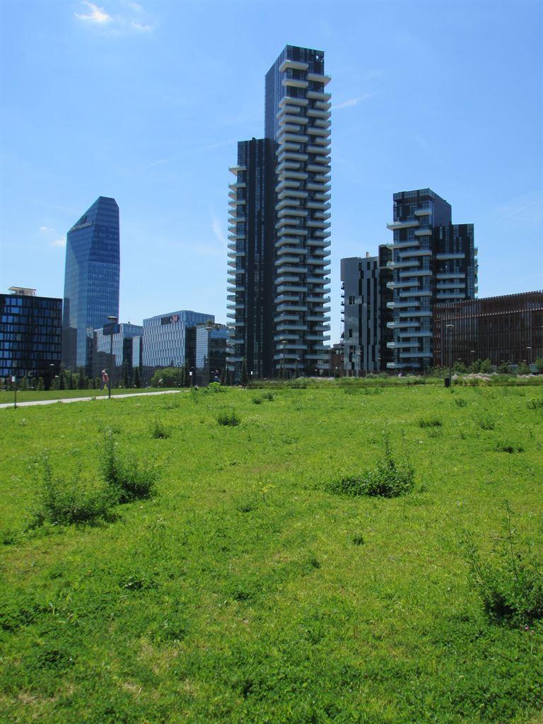 wildgarden