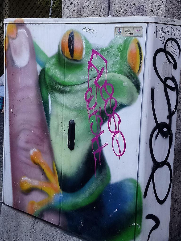 frog