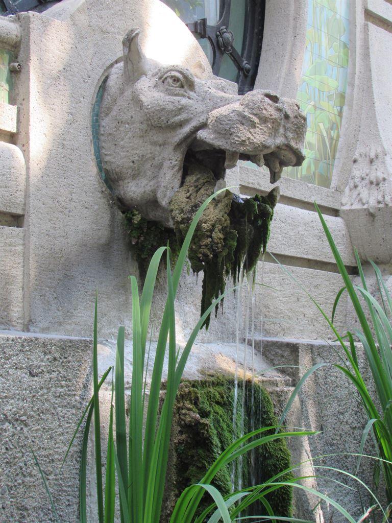 hippo