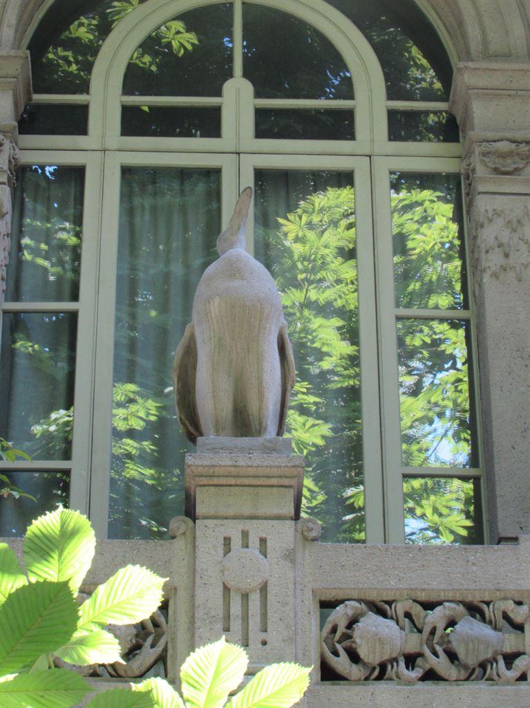penguin