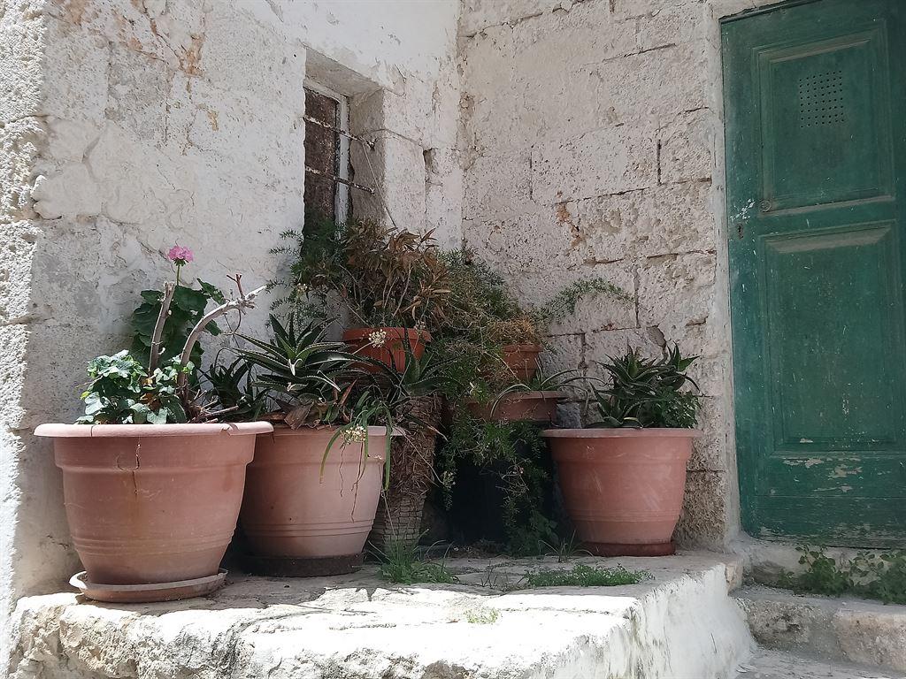 plantpots