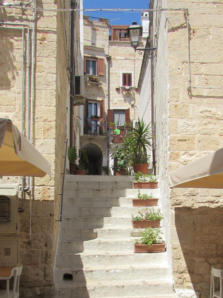 steps