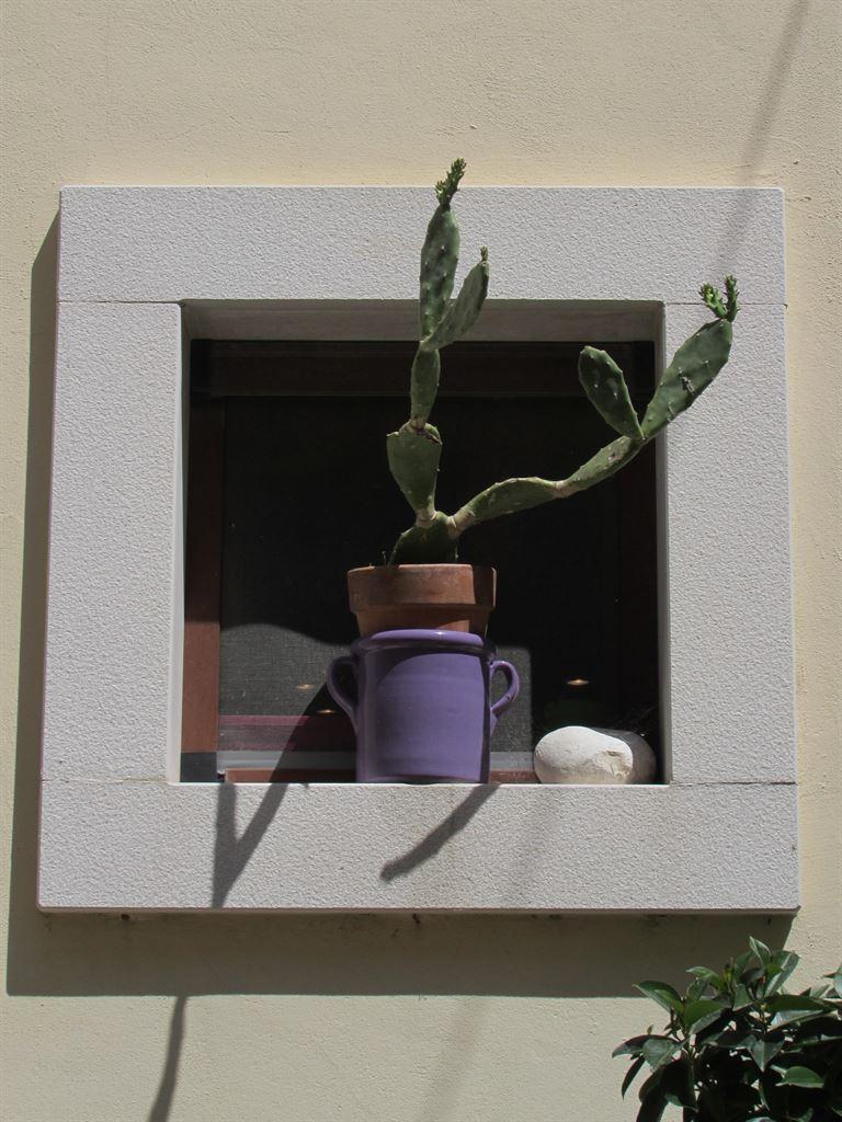 pot