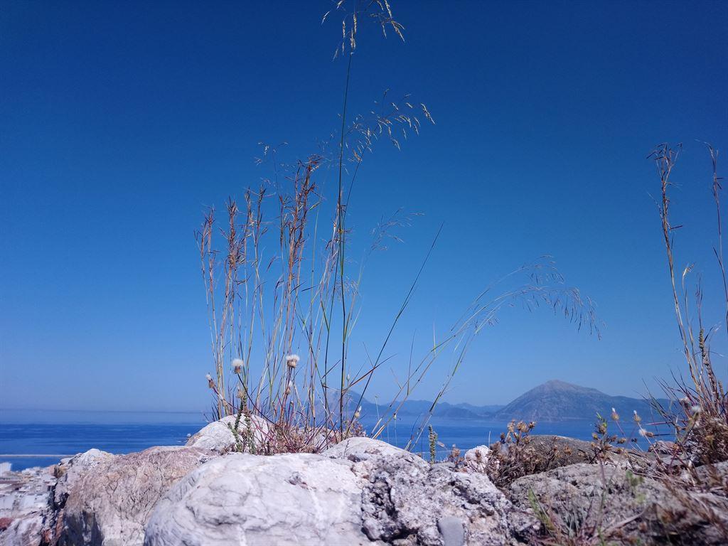 view4