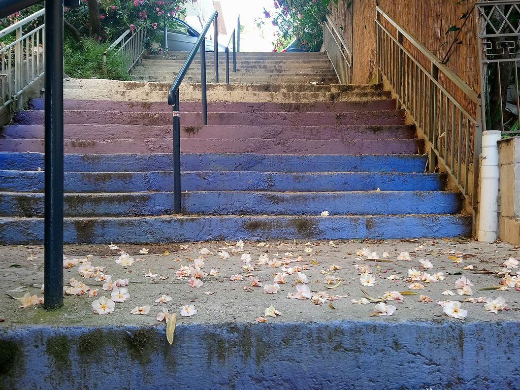 purplesteps
