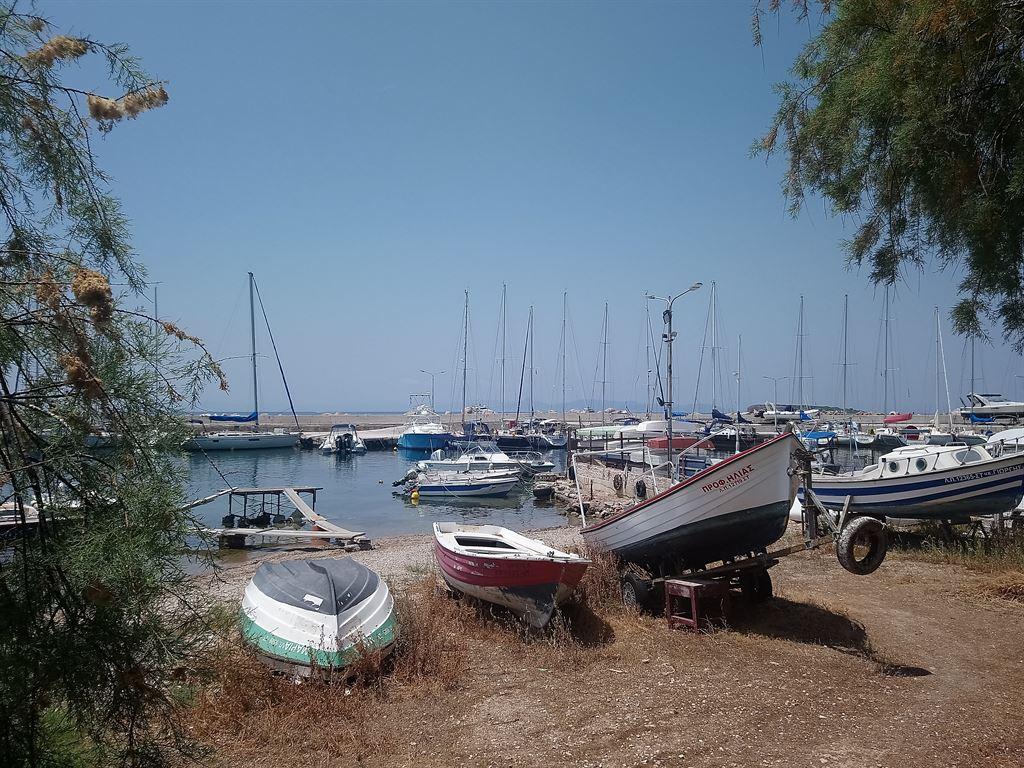 marina