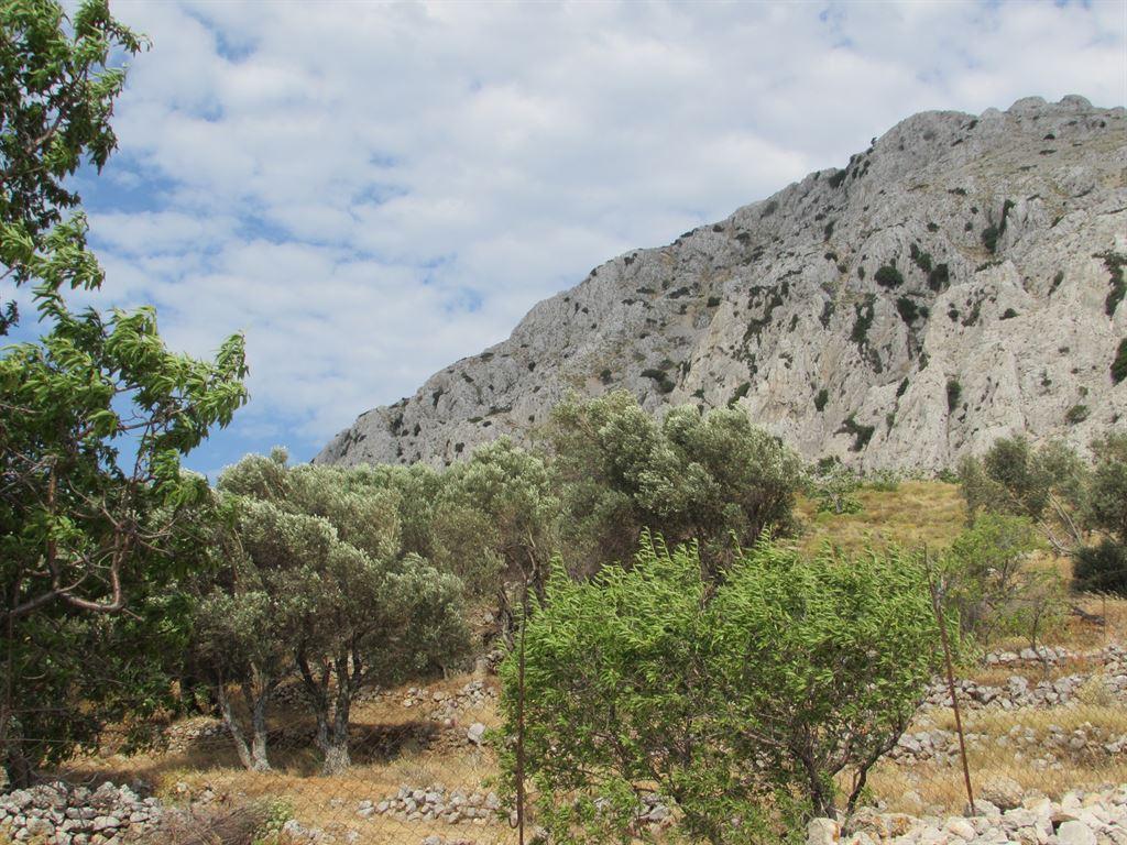 terrain