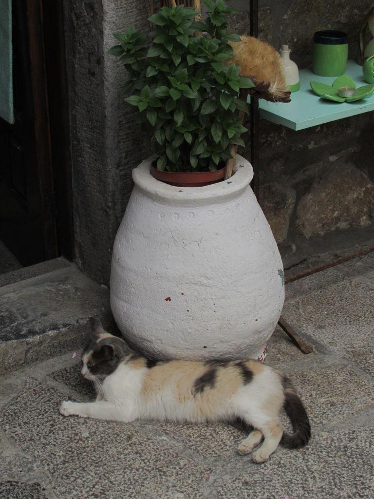 vase