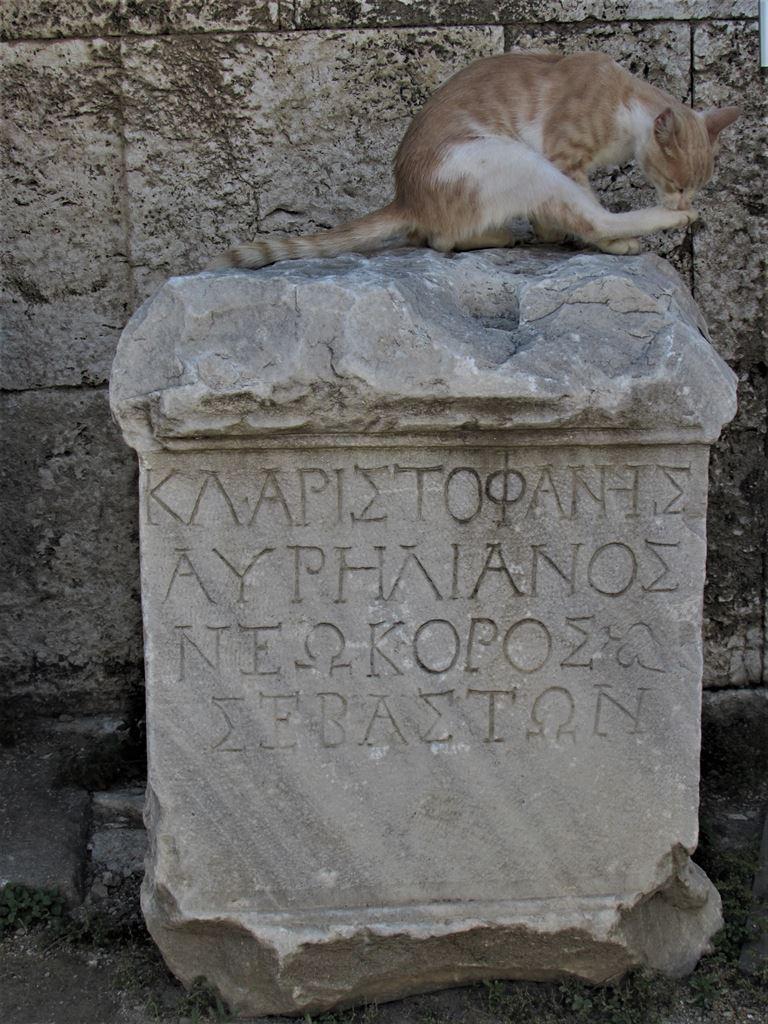 cat&inscription