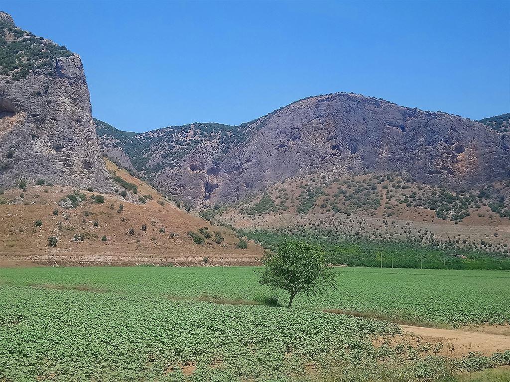 mountainroute