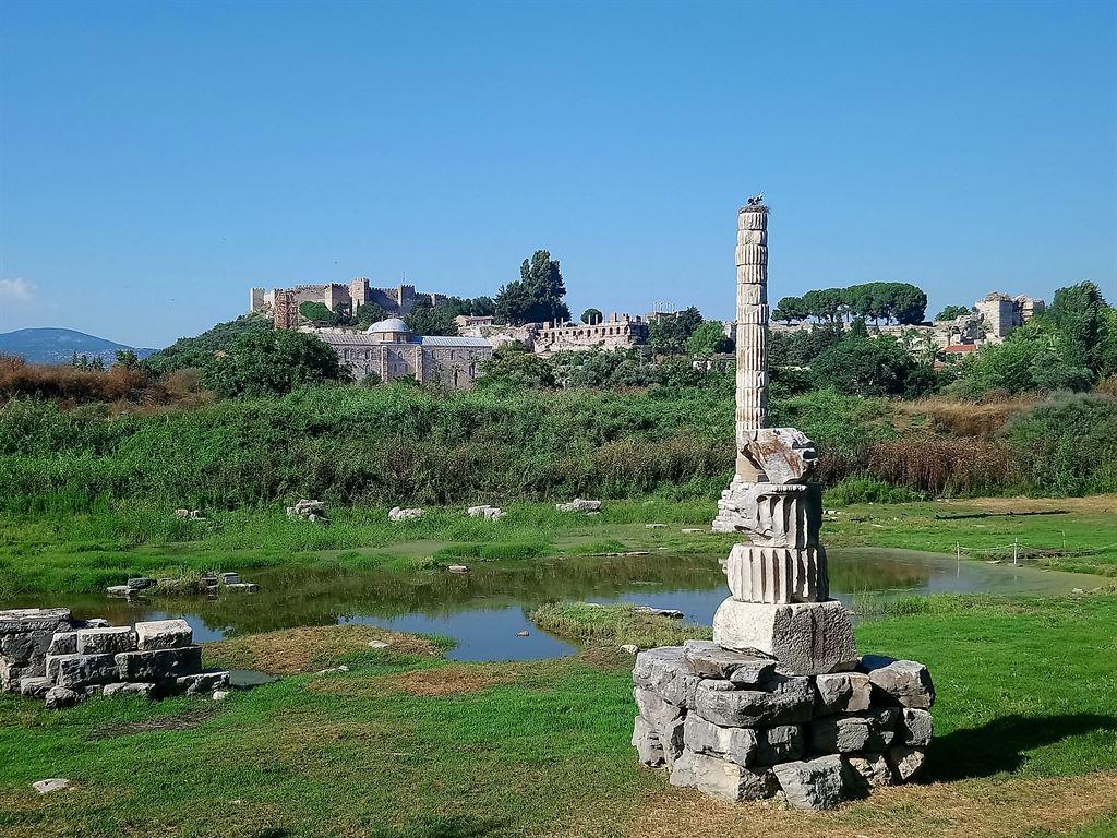 column1